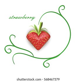 strawberries in heart shape on white background, vector illustration