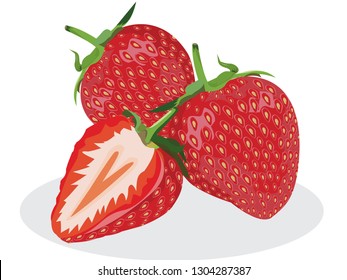 strawberries illustration in white background