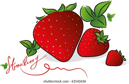 Strawberries isolated on white, vector illustration