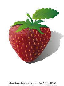 Strawberries with a leaf on a white background. Stock vector illustration.