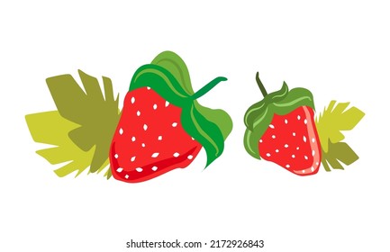 Strawberries with leaves. The berry is sweet. Isolated on a white background.