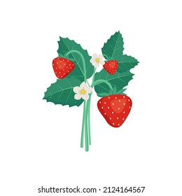 Strawberries with leaves and flowers. Harvesting in the garden or forest. Delicious sweet food, snack, dessert