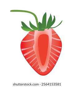 Strawberries with leaves on white background, vector