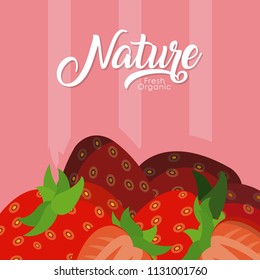 Strawberries nature fruit