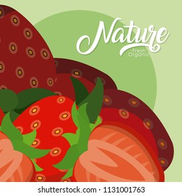 Strawberries nature fruit