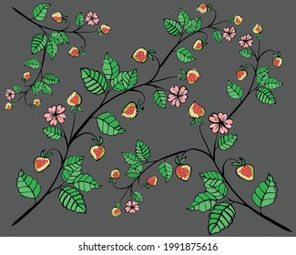strawberries on a branch with leaves