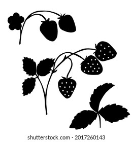 Strawberries on a branch. Vector illustration. Black silhouette.