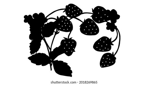Strawberries on a branch. Vector illustration. Black silhouette.