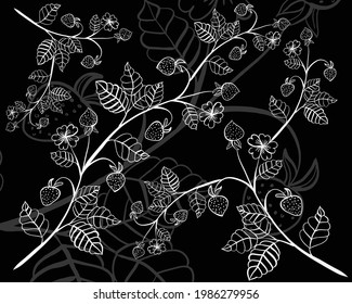 strawberries on a curly branch with leaves, white on a black background
