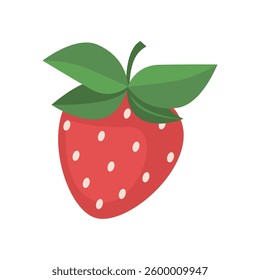 Strawberries on an isolated background. 
Vector illustration in a flat style

