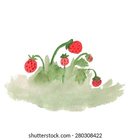 Strawberries on the lawn. Watercolor.