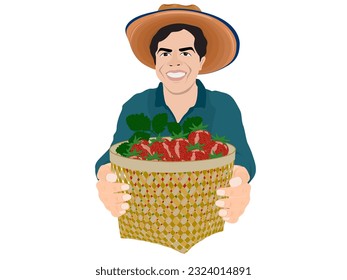 fresas en un fondo blanco.
