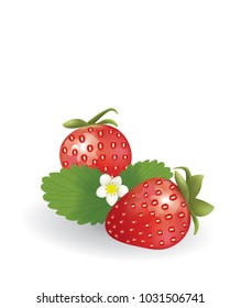 Strawberries on white background, vector