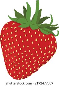 Strawberries are popular as sweet and delicious fruits. It is often seen throughout the year, such as on top of shortcake and strawberry flavored ice cream.