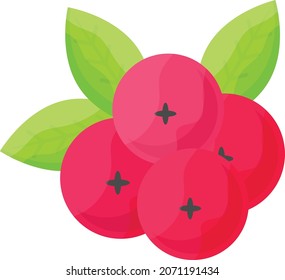 strawberries and raspberries with leaf Concept Thanksgiving Day Vector Icon Design, Harvest festival Symbol, Secular holiday Sign, Religious and cultural traditions Stock Illustration