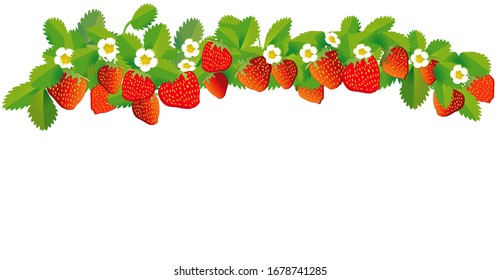 Fresas en fila - ilustración vectorial