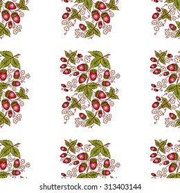 Strawberries. Seamless pattern with berries. Hand-drawn background.