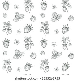 Strawberries, seamless pattern,  realistic sketches, vector illustrations, hand drawn, black outline on a transparent background
