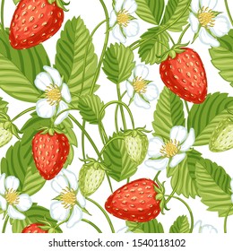 Strawberries in seamless white background. Drawing of berries and flowers with leaves.