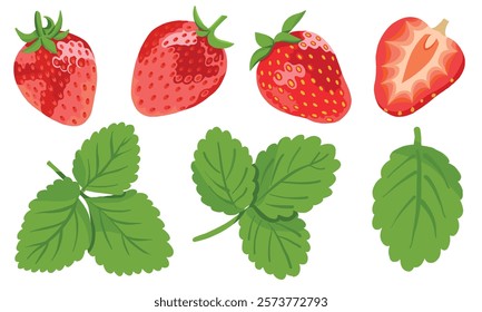 Strawberries Set with Berries and Leaves Isolated on White Background. Summer strawberries, whole and sliced.