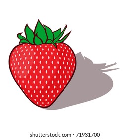 Strawberries vector illusrtation.