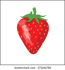 Strawberries vector illustration design
