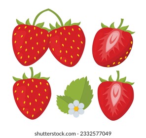 Fresas. Imagen vectorial de fresa. Ilustración vectorial.