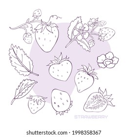 Strawberries vector linear collection on white background.