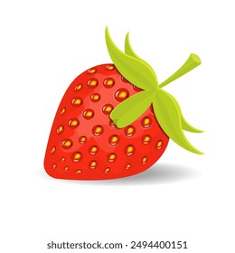  strawberries vector.strawberries icon and sliced strawberry on white background