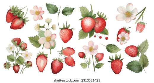 Strawberries in watercolor set with flowers and leaves with branches, tropical organic fruit food vector illustration pattern