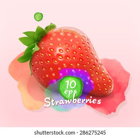 Strawberries watercolor, vector illustration