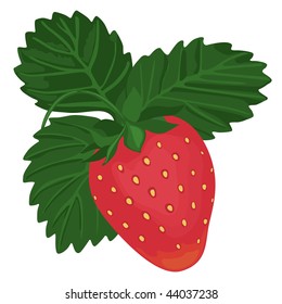 strawberry