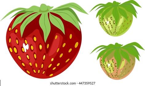 Strawberry
