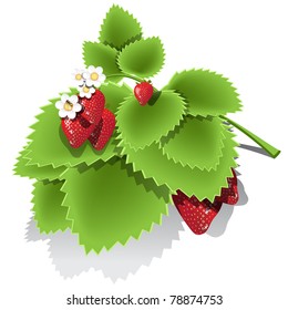 strawberry
