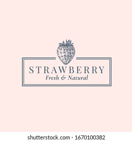 Strawberry Abstract Vector Sign, Symbol or Logo Template. Hand Drawn Berries Sillhouette Sketch with Elegant Retro Typography and Frame. Vintage Luxury Emblem. Isolated.