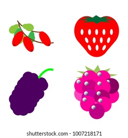 Strawberry, barberry, mulberry and raspberry icon set.