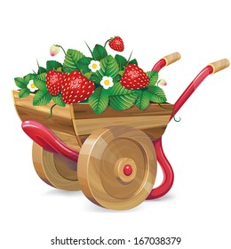 Strawberry barrow 