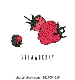 Strawberry berries. Drawing isolated objects on white background.