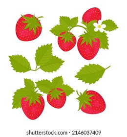 Strawberry. Berries, leaves, flowers. Vector set on a white background.