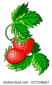 bayas de fresa con hojas de imagen vectorial