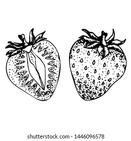 Strawberry berries vector illustration. Engraved organic food hand drawn sketch engraving illustration. Black white apple isolated on white background
