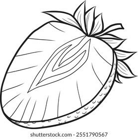Strawberry berry half vector illustration in sketch style on isolated background. Hand drawn line art image of summer cut fruit for packaging and design.