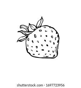 A strawberry, berry with leaves icon. Black and white line art sketch. Hand drawn ink doodle drawing, stock vector illustration.