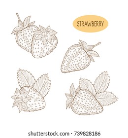 Strawberry. Berry. Set. Plain pattern on a white background. Coloring.