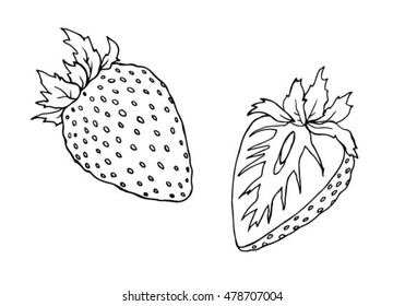 Strawberry berry vector Illustration. Object isolated on white background. Doodle style. Cloth design, wallpaper, wrapping, menu, restaurant,cafe,kitchen,textile,paper, card, invitation,holiday. Eps10
