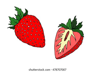 Strawberry berry vector Illustration. Object isolated on white background. Doodle style. Cloth design, wallpaper, wrapping, menu, restaurant,cafe,kitchen,textile,paper, cards invitation,holiday. Eps10