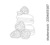 Strawberry Biscuit Art Coloring Page