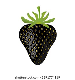 Strawberry black summer fruit on white background. Vector illustration EPS 10. Creative concept.