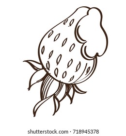 Strawberry black and white drawing for menu design.