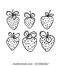 Strawberry black and white outline illustrations isolated.